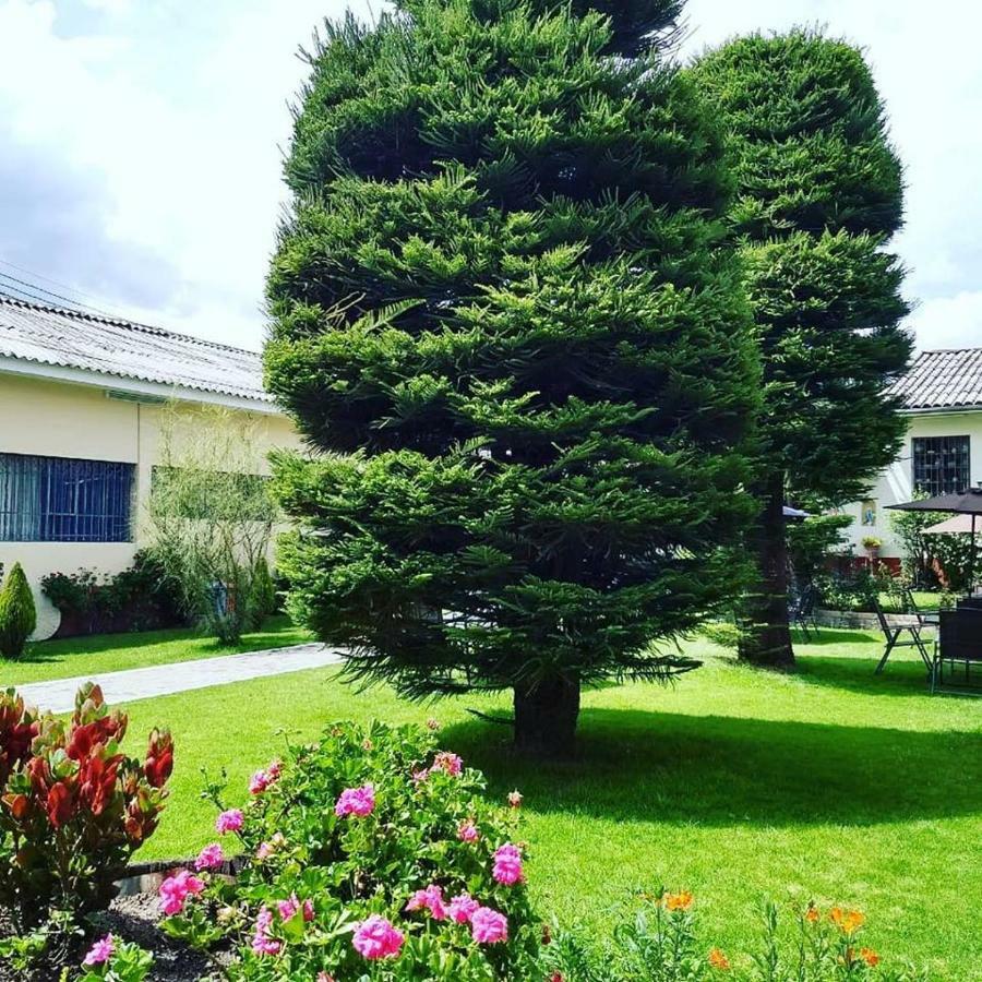 Hotel Colomba Huaraz  Buitenkant foto